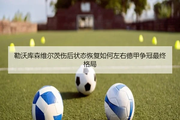 勒沃库森维尔茨伤后状态恢复如何左右德甲争冠最终格局